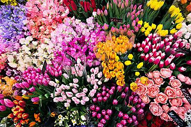 《地平线：西部禁域》主线时长和前作差不多