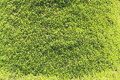 《冬日幸存者》延期至2024年2月正式发售 更换虚幻5引擎